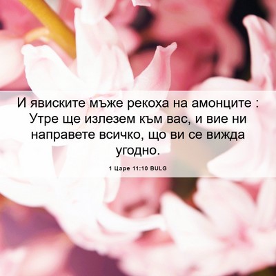 Picture 06 - 1 Царе 11:10 BULG - И явиските мъже рекоха на - Bible Verse Picture