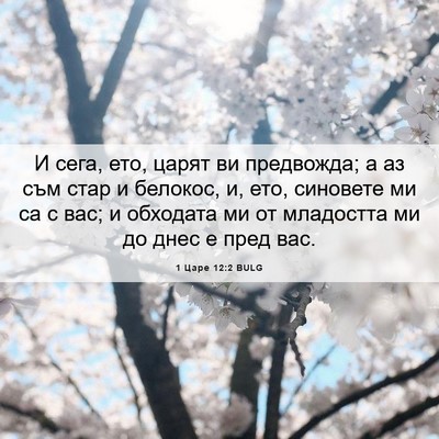 Picture 06 - 1 Царе 12:2 BULG - И сега, ето, царят ви - Bible Verse Picture