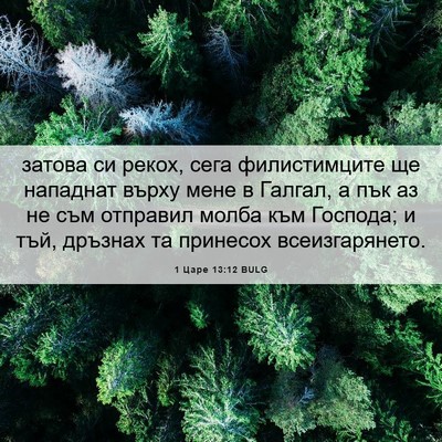 Picture 06 - 1 Царе 13:12 BULG - затова си рекох, сега - Bible Verse Picture