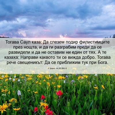 Picture 06 - 1 Царе 14:36 BULG - Тогава Саул каза: Да слезем - Bible Verse Picture