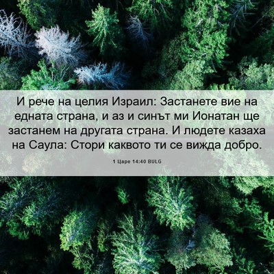 Picture 06 - 1 Царе 14:40 BULG - И рече на целия Израил: - Bible Verse Picture