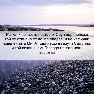 Picture 06 - 1 Царе 15:11 BULG - Разкаях се, гдето поставих - Bible Verse Picture