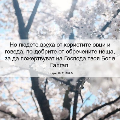 Picture 06 - 1 Царе 15:21 BULG - Но людете взеха от - Bible Verse Picture
