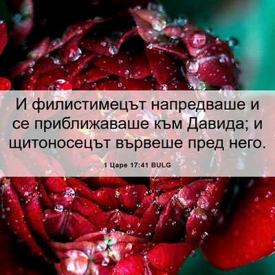 Picture 06 - 1 Царе 17:41 BULG - И филистимецът напредваше - Bible Verse Picture