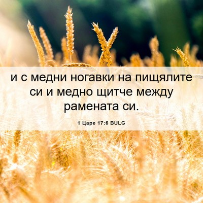 Picture 06 - 1 Царе 17:6 BULG - и с медни ногавки на - Bible Verse Picture