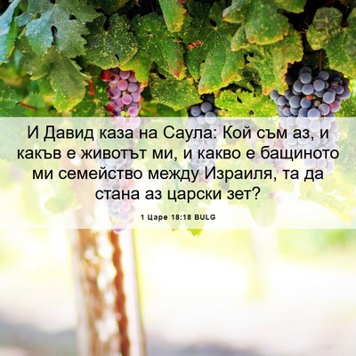 Picture 06 - 1 Царе 18:18 BULG - И Давид каза на Саула: Кой - Bible Verse Picture