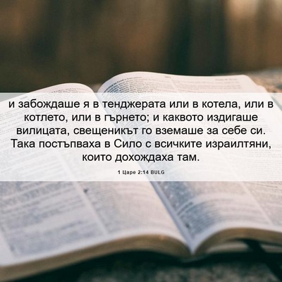 Picture 06 - 1 Царе 2:14 BULG - и забождаше я в тенджерата - Bible Verse Picture