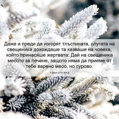 Picture 06 - 1 Царе 2:15 BULG - Даже и преди да изгорят - Bible Verse Picture