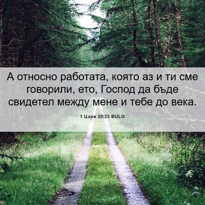 Picture 06 - 1 Царе 20:23 BULG - А относно работата, която - Bible Verse Picture