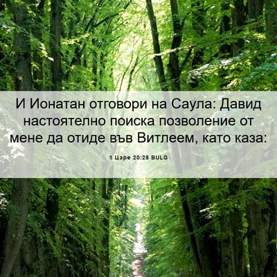 Picture 06 - 1 Царе 20:28 BULG - И Ионатан отговори на - Bible Verse Picture