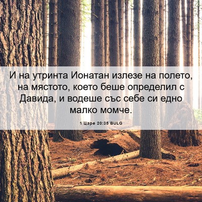 Picture 06 - 1 Царе 20:35 BULG - И на утринта Ионатан - Bible Verse Picture