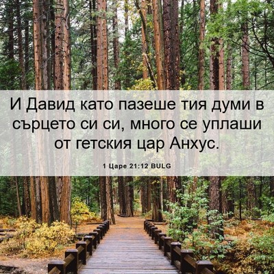 Picture 06 - 1 Царе 21:12 BULG - И Давид като пазеше тия - Bible Verse Picture