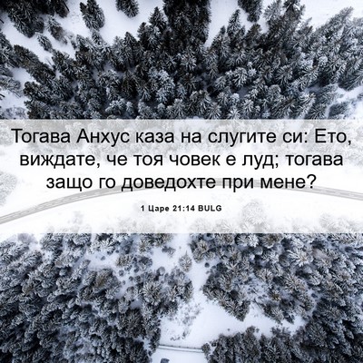 Picture 06 - 1 Царе 21:14 BULG - Тогава Анхус каза на - Bible Verse Picture