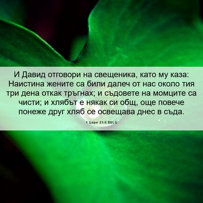 Picture 06 - 1 Царе 21:5 BULG - И Давид отговори на - Bible Verse Picture
