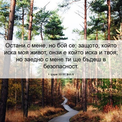 Picture 06 - 1 Царе 22:23 BULG - Остани с мене, но бой се; - Bible Verse Picture