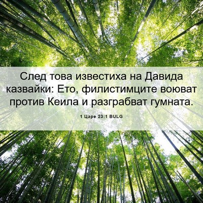Picture 06 - 1 Царе 23:1 BULG - След това известиха на - Bible Verse Picture