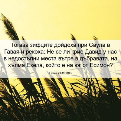 Picture 06 - 1 Царе 23:19 BULG - Тогава зифците дойдоха при - Bible Verse Picture