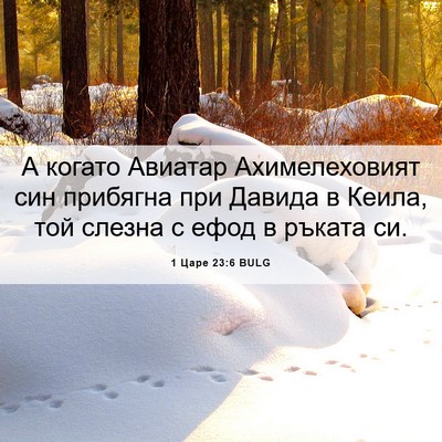 Picture 06 - 1 Царе 23:6 BULG - А когато Авиатар - Bible Verse Picture