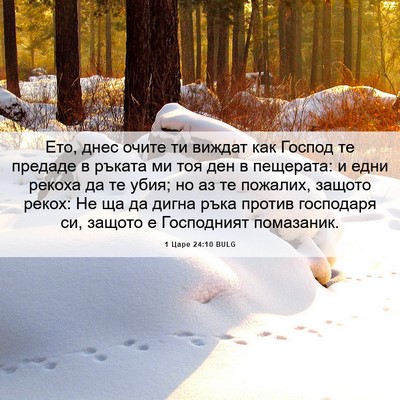 Picture 06 - 1 Царе 24:10 BULG - Ето, днес очите ти виждат - Bible Verse Picture
