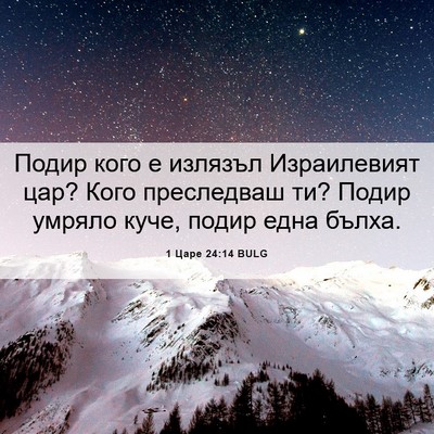 Picture 06 - 1 Царе 24:14 BULG - Подир кого е излязъл - Bible Verse Picture