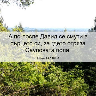 Picture 06 - 1 Царе 24:5 BULG - А по-после Давид се смути в - Bible Verse Picture