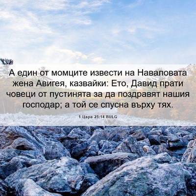 Picture 06 - 1 Царе 25:14 BULG - А един от момците извести - Bible Verse Picture