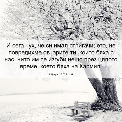 Picture 06 - 1 Царе 25:7 BULG - И сега чух, че си имал - Bible Verse Picture