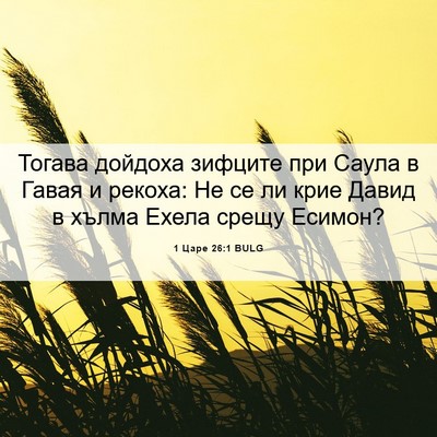 Picture 06 - 1 Царе 26:1 BULG - Тогава дойдоха зифците при - Bible Verse Picture