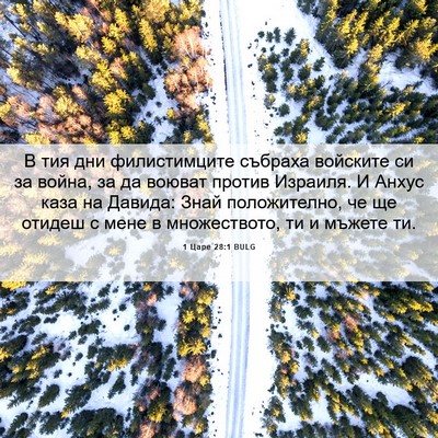 Picture 06 - 1 Царе 28:1 BULG - В тия дни филистимците - Bible Verse Picture