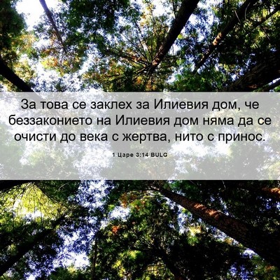 Picture 06 - 1 Царе 3:14 BULG - За това се заклех за - Bible Verse Picture