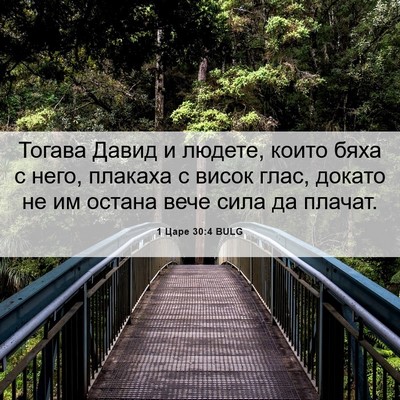 Picture 06 - 1 Царе 30:4 BULG - Тогава Давид и людете, - Bible Verse Picture