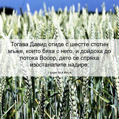 Picture 06 - 1 Царе 30:9 BULG - Тогава Давид отиде с - Bible Verse Picture