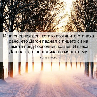Picture 06 - 1 Царе 5:3 BULG - И на следния ден, когато - Bible Verse Picture