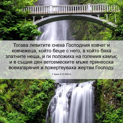 Picture 06 - 1 Царе 6:15 BULG - Тогава левитите снеха - Bible Verse Picture