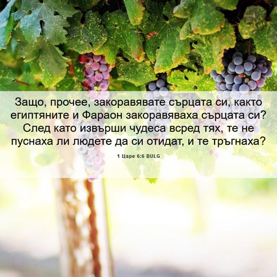 Picture 06 - 1 Царе 6:6 BULG - Защо, прочее, закоравявате - Bible Verse Picture