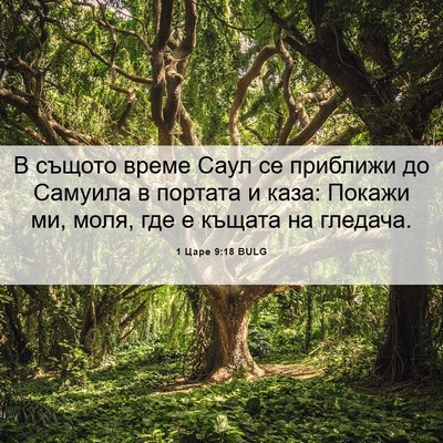 Picture 06 - 1 Царе 9:18 BULG - В същото време Саул се - Bible Verse Picture