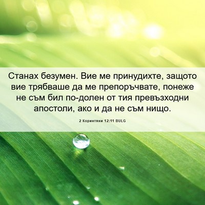 Picture 06 - 2 Коринтяни 12:11 BULG - Станах безумен. Вие ме - Bible Verse Picture