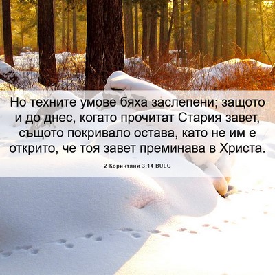 Picture 06 - 2 Коринтяни 3:14 BULG - Но техните умове бяха - Bible Verse Picture