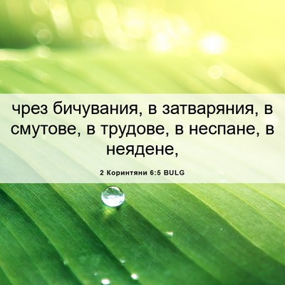 Picture 06 - 2 Коринтяни 6:5 BULG - чрез бичувания, в - Bible Verse Picture