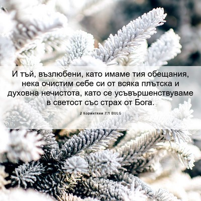 Picture 06 - 2 Коринтяни 7:1 BULG - И тъй, възлюбени, като - Bible Verse Picture