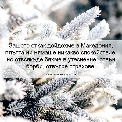 Picture 06 - 2 Коринтяни 7:5 BULG - Защото откак дойдохме в - Bible Verse Picture