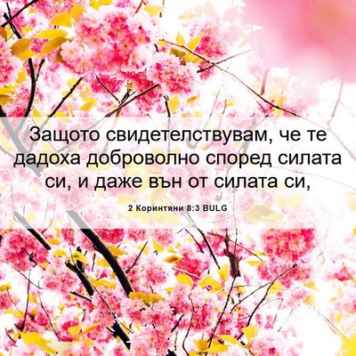 Picture 06 - 2 Коринтяни 8:3 BULG - Защото свидетелствувам, че - Bible Verse Picture