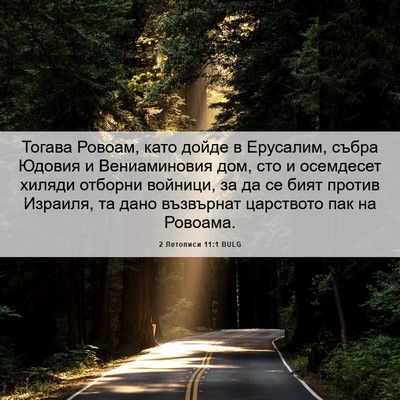 Picture 06 - 2 Летописи 11:1 BULG - Тогава Ровоам, като дойде в - Bible Verse Picture