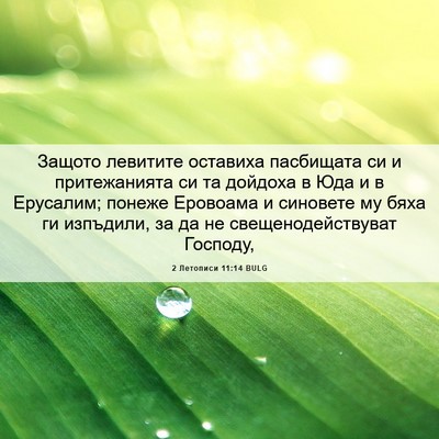 Picture 06 - 2 Летописи 11:14 BULG - Защото левитите оставиха - Bible Verse Picture