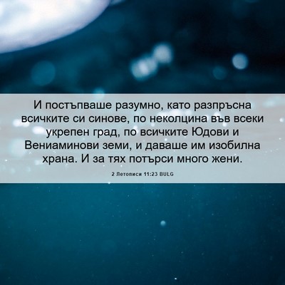 Picture 06 - 2 Летописи 11:23 BULG - И постъпваше разумно, като - Bible Verse Picture