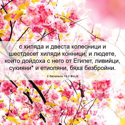 Picture 06 - 2 Летописи 12:3 BULG - с хиляда и двеста - Bible Verse Picture