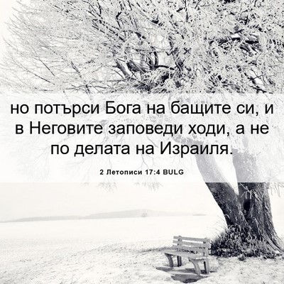 Picture 06 - 2 Летописи 17:4 BULG - но потърси Бога на бащите - Bible Verse Picture