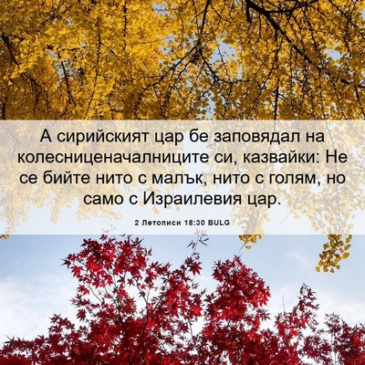 Picture 06 - 2 Летописи 18:30 BULG - А сирийският цар бе - Bible Verse Picture