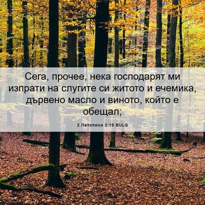 Picture 06 - 2 Летописи 2:15 BULG - Сега, прочее, нека - Bible Verse Picture