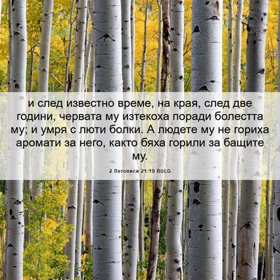 Picture 06 - 2 Летописи 21:19 BULG - и след известно време, на - Bible Verse Picture